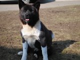 2011_03_27 276.jpg